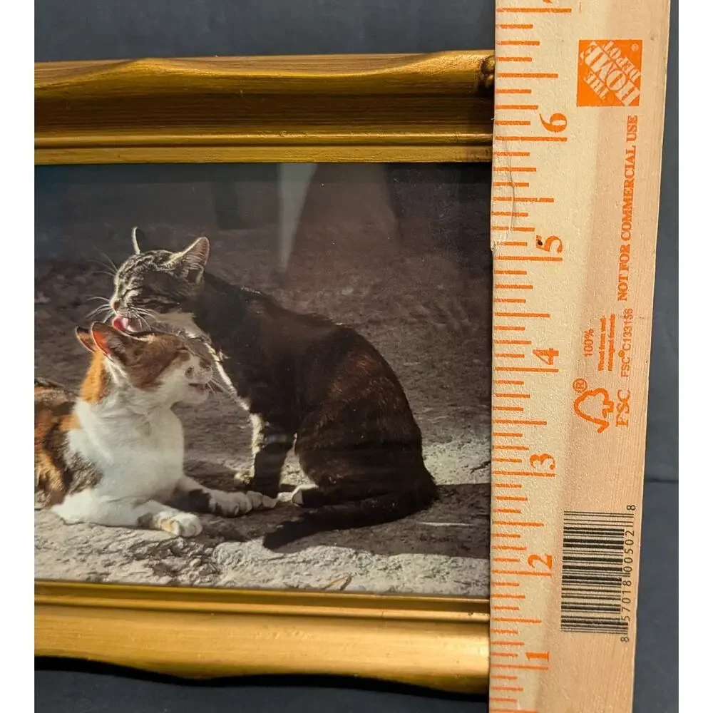 Vintage Style Ornate Gold Picture Frame 4x6 Cat Lovers Grooming Calico
